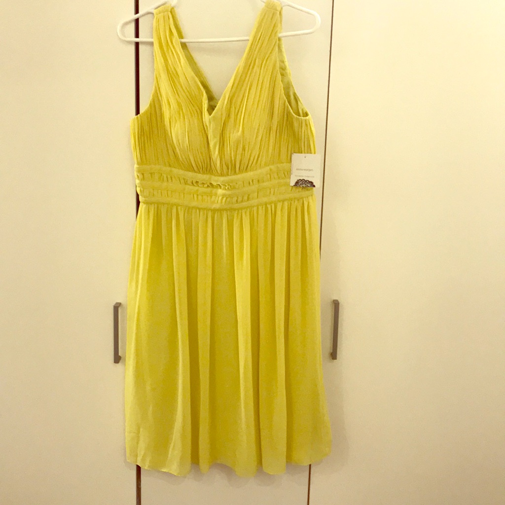 Yellow Donna Morgan Dress $30